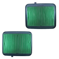 AIR FILTER PASSION X PRO (LIVO)